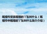 甄嬛传里面甄嬛的丫鬟叫什么（甄嬛传中甄嬛的丫鬟叫什么简介介绍）