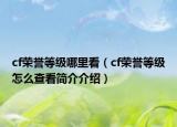 cf荣誉等级哪里看（cf荣誉等级怎么查看简介介绍）