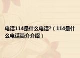 电话114是什么电话?（114是什么电话简介介绍）