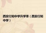 西安行知中学升学率（西安行知中学）
