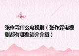 张作霖什么电视剧（张作霖电视剧都有哪些简介介绍）