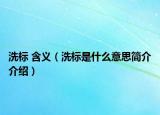 洗标 含义（洗标是什么意思简介介绍）
