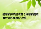 摘菜和择菜的读音（择菜和摘菜有什么区别简介介绍）