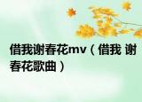 借我谢春花mv（借我 谢春花歌曲）