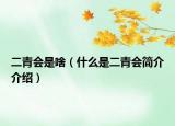 二青会是啥（什么是二青会简介介绍）