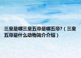 三皇是哪三皇五帝是哪五帝?（三皇五帝是什么动物简介介绍）