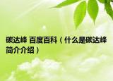 碳达峰 百度百科（什么是碳达峰简介介绍）