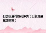 日剧流星花园花泽类（日剧流星花园哪集）