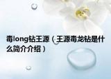 毒long钻王源（王源毒龙钻是什么简介介绍）