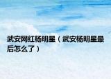 武安网红杨明星（武安杨明星最后怎么了）