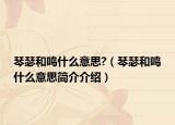 琴瑟和鸣什么意思?（琴瑟和鸣什么意思简介介绍）