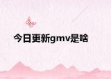 今日更新gmv是啥