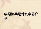 学习标兵是什么意思介绍