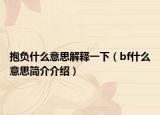 抱负什么意思解释一下（bf什么意思简介介绍）