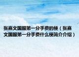 张嘉文国服第一分手费的梗（张嘉文国服第一分手费什么梗简介介绍）