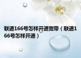 联通166号怎样开通宽带（联通166号怎样开通）