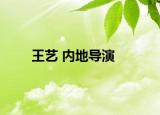 王艺 内地导演