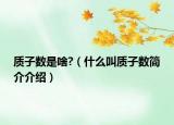 质子数是啥?（什么叫质子数简介介绍）