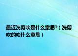 最近洗剪吹是什么意思?（洗剪吹的吹什么意思）