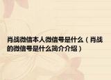 肖战微信本人微信号是什么（肖战的微信号是什么简介介绍）