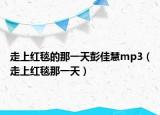 走上红毯的那一天彭佳慧mp3（走上红毯那一天）