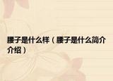 腰子是什么样（腰子是什么简介介绍）