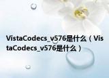 VistaCodecs_v576是什么（VistaCodecs_v576是什么）