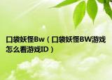 口袋妖怪Bw（口袋妖怪BW游戏怎么看游戏ID）