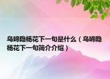 乌啼隐杨花下一句是什么（乌啼隐杨花下一句简介介绍）