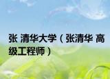 张 清华大学（张清华 高级工程师）
