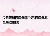 今日更新西洋参哪个好(西洋参怎么喝效果好)