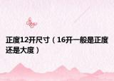 正度12开尺寸（16开一般是正度还是大度）