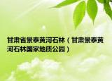 甘肃省景泰黄河石林（甘肃景泰黄河石林国家地质公园）