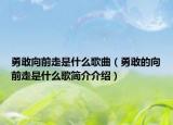 勇敢向前走是什么歌曲（勇敢的向前走是什么歌简介介绍）