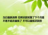 当日最新消息 花呗还款延期了下个月是不是不能还最低了 不可以最低还款的