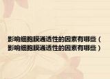 影响细胞膜通透性的因素有哪些（影响细胞膜通透性的因素有哪些）