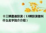 十三姨是谁扮演（13姨扮演者叫什么名字简介介绍）