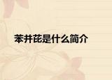 苯并芘是什么简介