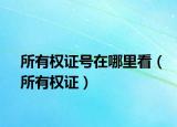 所有权证号在哪里看（所有权证）