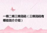 一级二级三级简码（三级简码有哪些简介介绍）