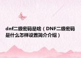 dnf二级密码是啥（DNF二级密码是什么怎样设置简介介绍）