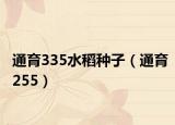 通育335水稻种子（通育255）