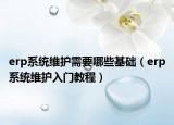 erp系统维护需要哪些基础（erp系统维护入门教程）