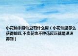 小花仙手游仙豆有什么用（小花仙里怎么获得仙豆,不卖花也不种花反正就是迅速得到）