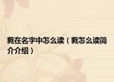 蕤在名字中怎么读（蕤怎么读简介介绍）