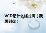 VCD是什么格式啊（我想刻盘）