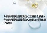 今夜的风儿轻别让我伤心这是什么歌曲（今夜的风儿轻别让我伤心的歌名叫什么简介介绍）