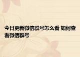 今日更新微信群号怎么看 如何查看微信群号