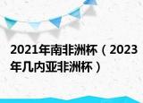 2021年南非洲杯（2023年几内亚非洲杯）