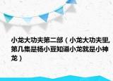 小龙大功夫第二部（小龙大功夫里,第几集是杨小豆知道小龙就是小神龙）